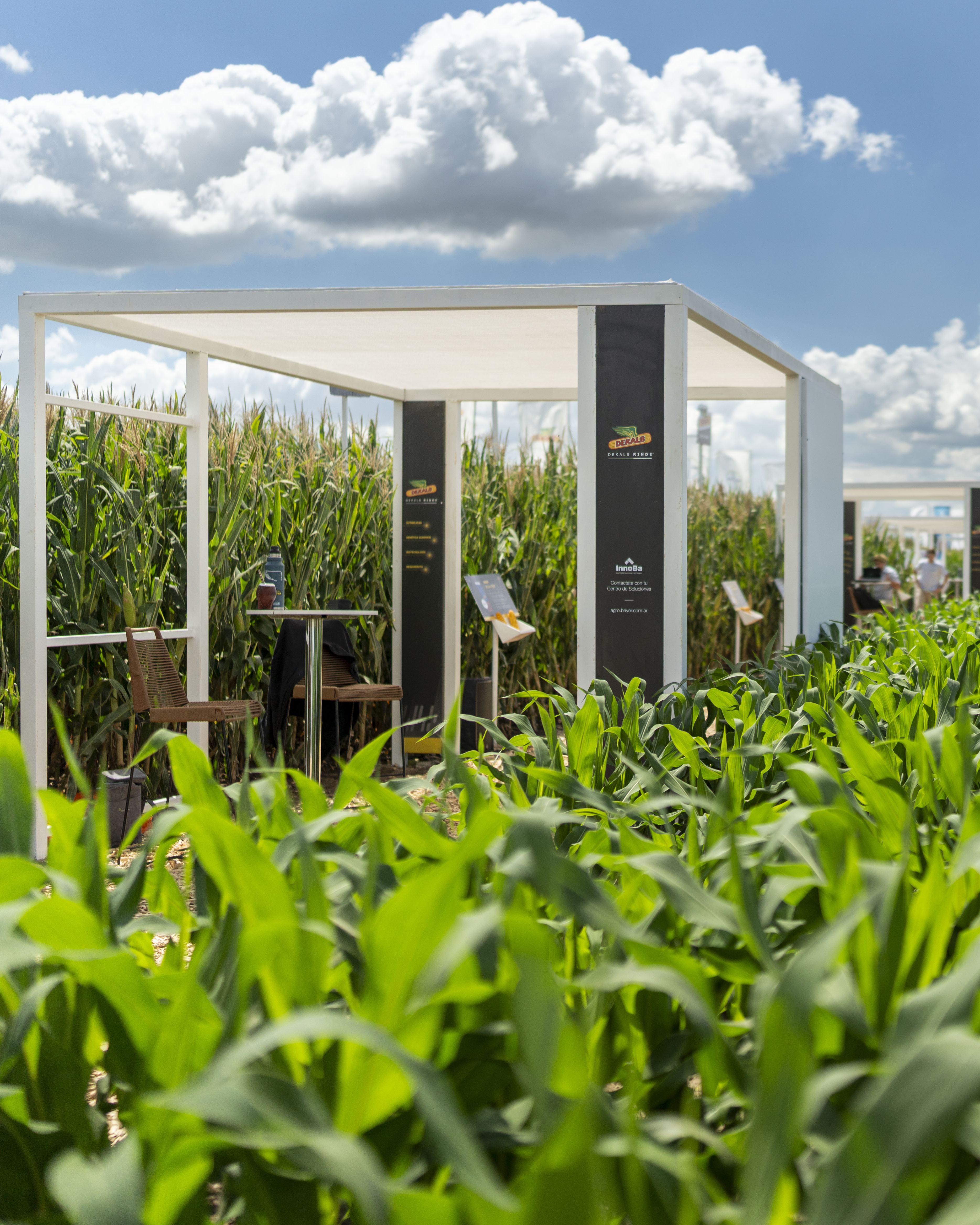 Bayer, Expoagro, 2025