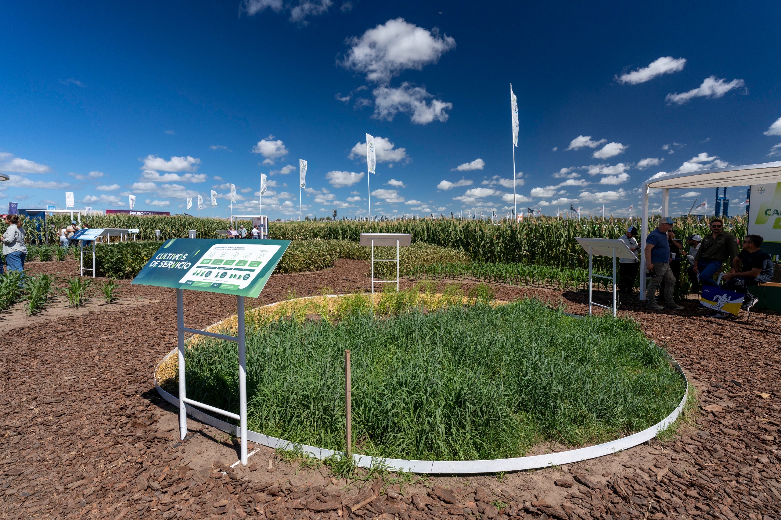 Bayer, Expoagro, 2026