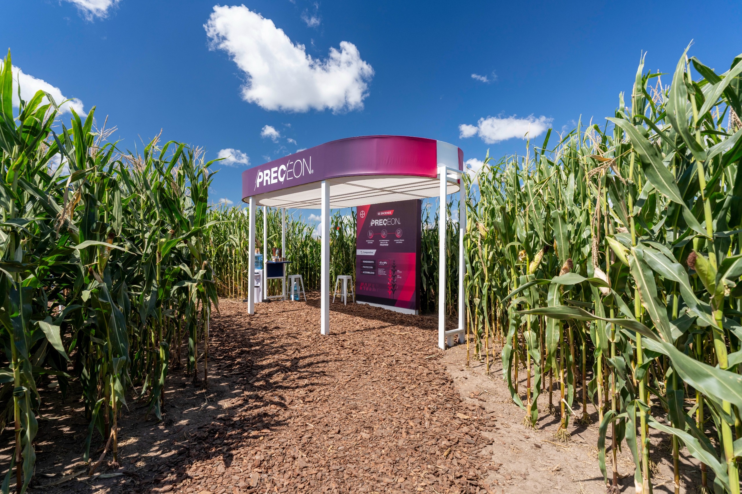 Bayer, Expoagro, 2026